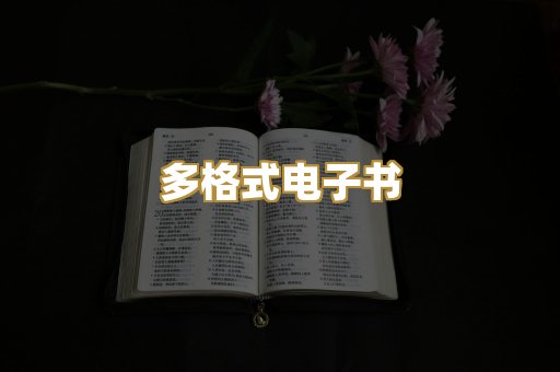 多格式电子书
